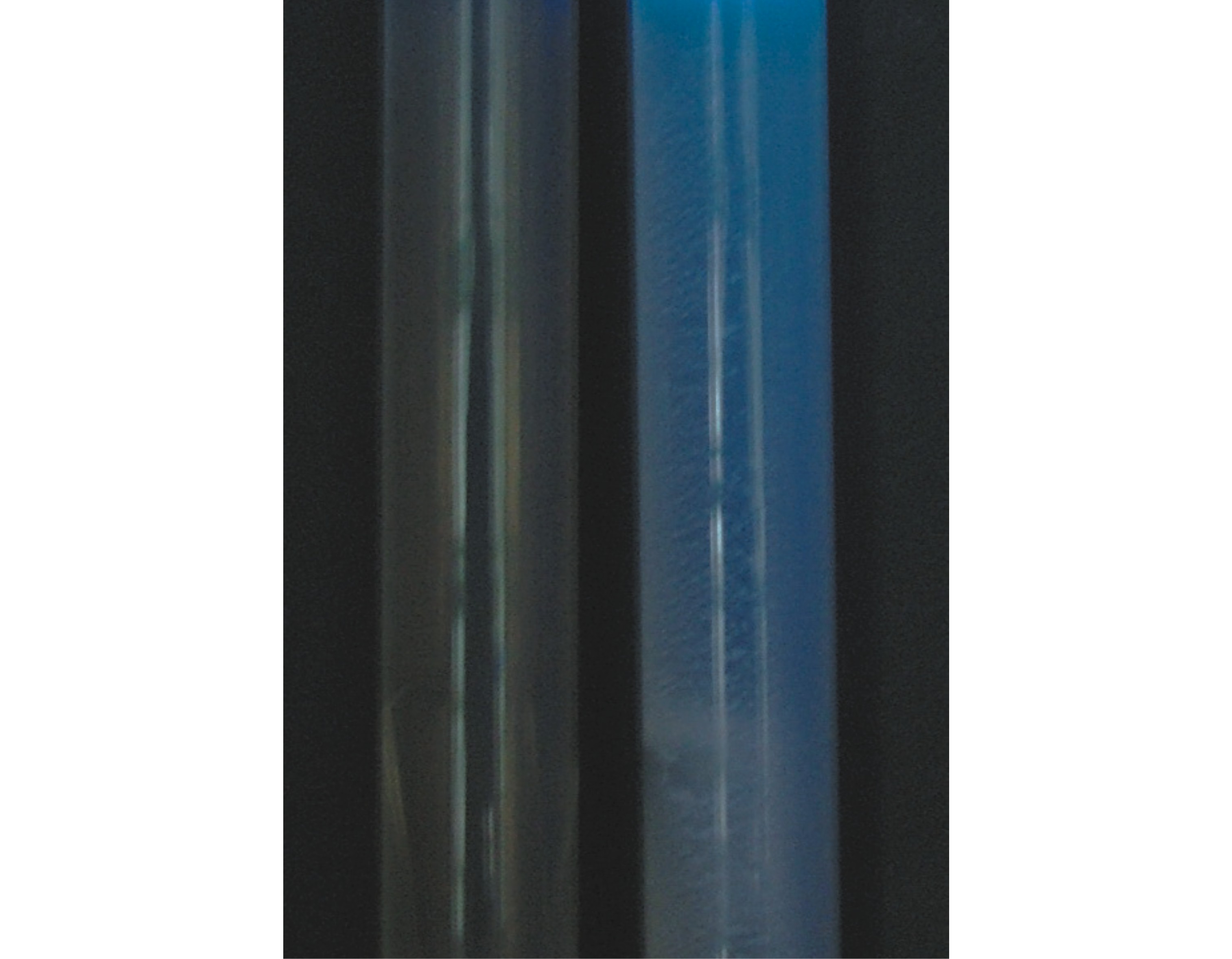 LST-MUG肉汤培养基中细菌生物特征