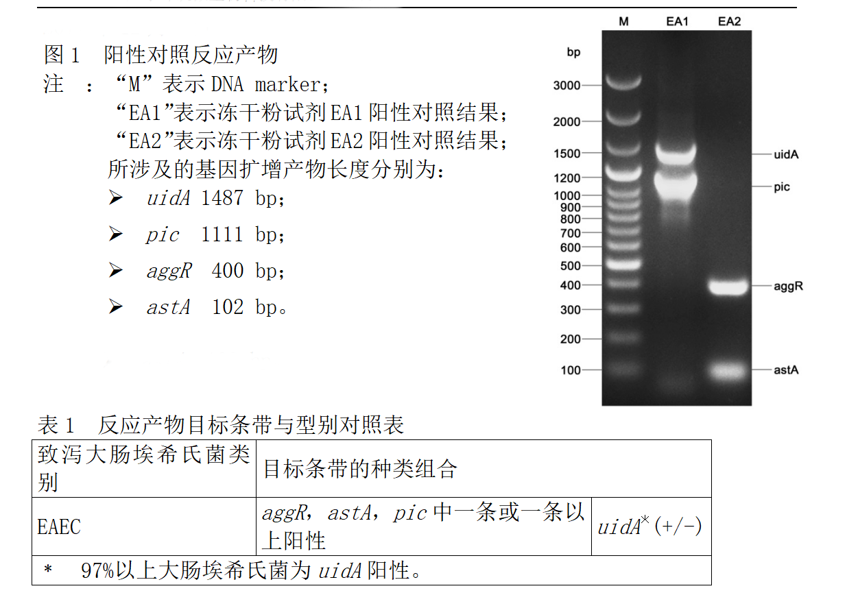 EAEC多重PCR检测试剂盒判读结果 EAEC多重PCR检测试剂盒判读结果
