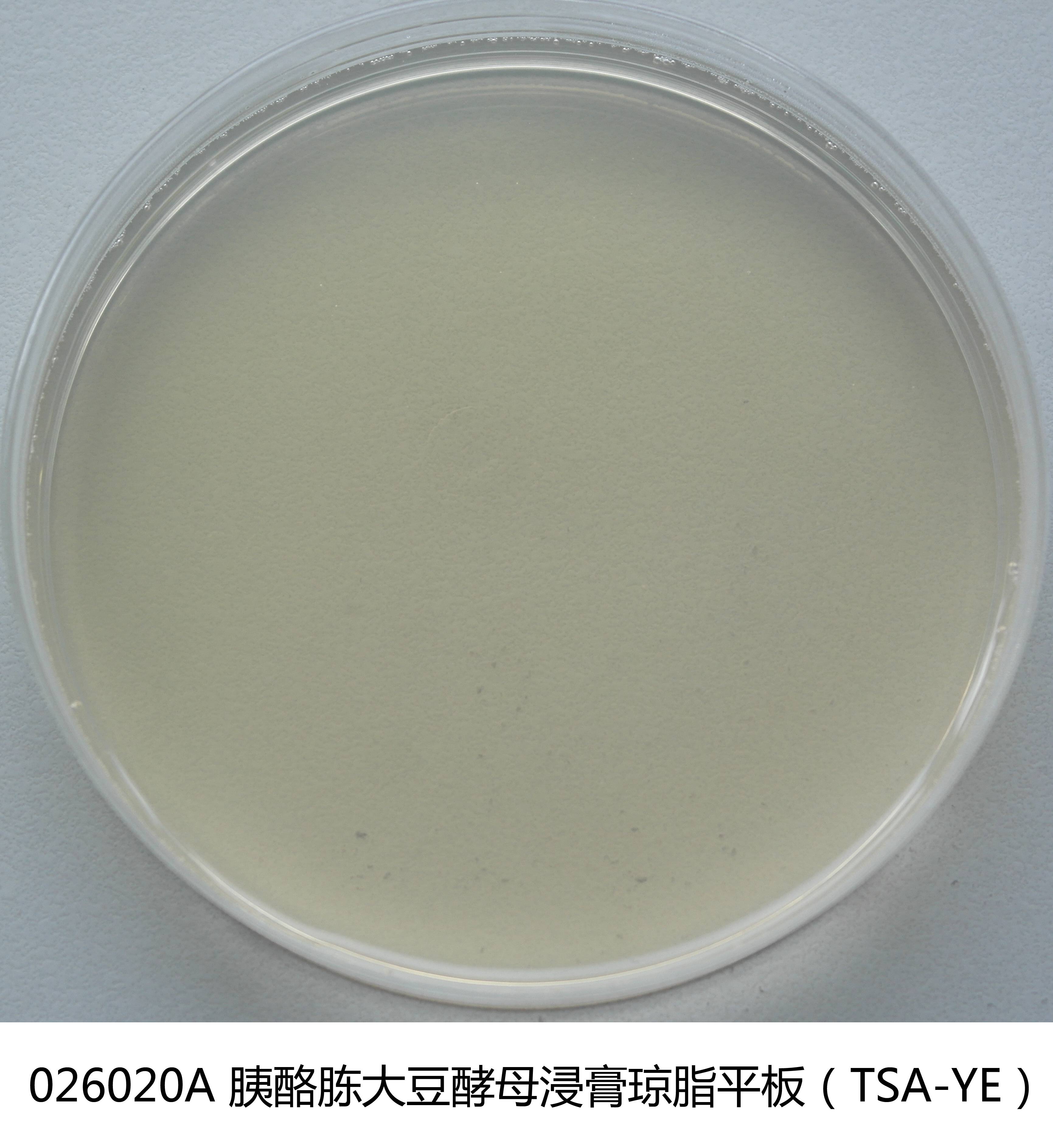 TSA-YE平板培养基 TSA-YE平板培养基